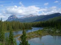 Bow River mit Castle Mountain Gruppe - Banff NP